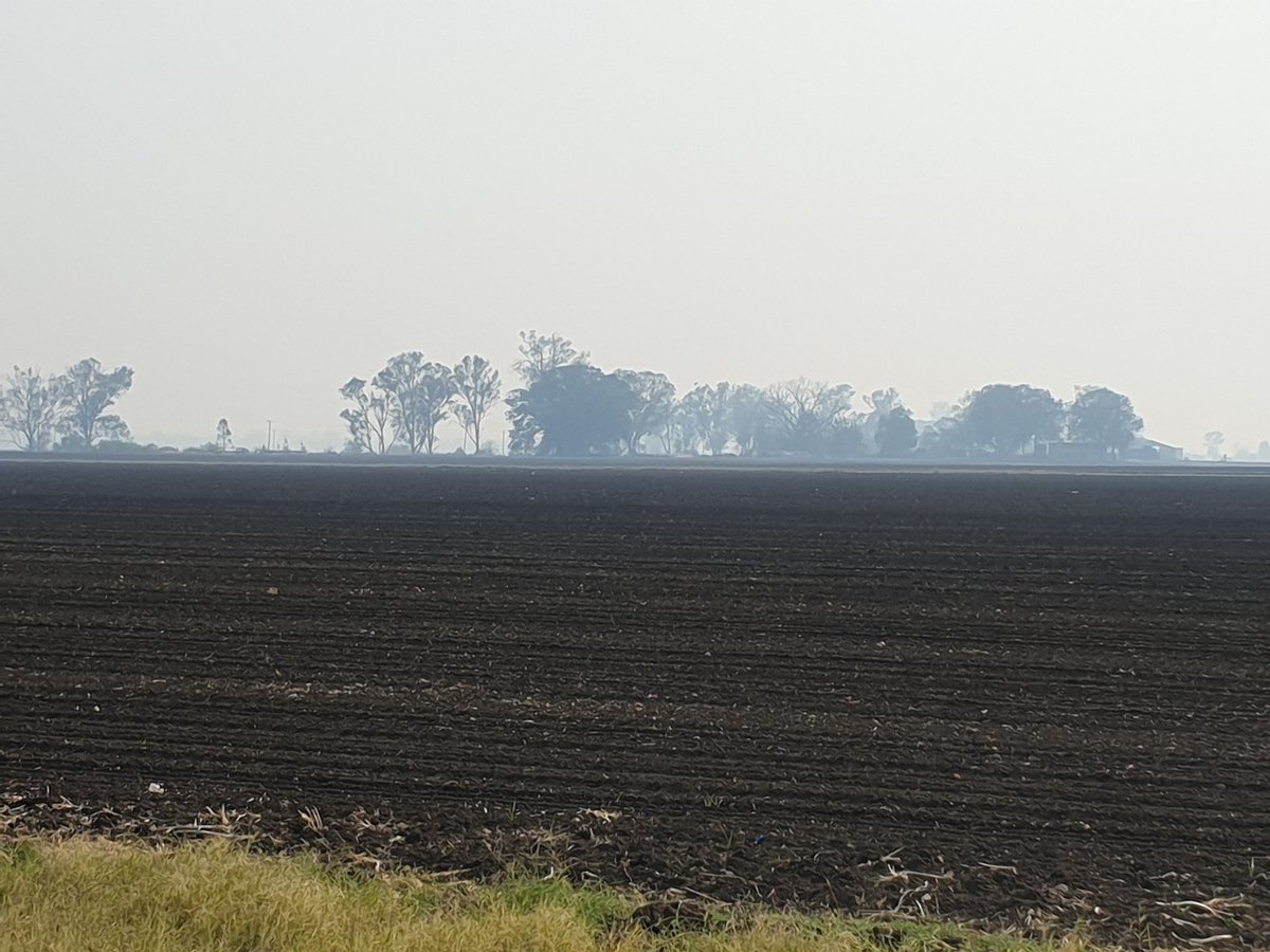 JNRSNRgaming's tweet photo. At my favorite truck stop at Gatton. This is the result of 51 fires burning. Praise the fire fighters. If it went for them we'd be stuffed. #JNRSNRGAMING #QLDFires https://t.co/bEA1mcrnMi