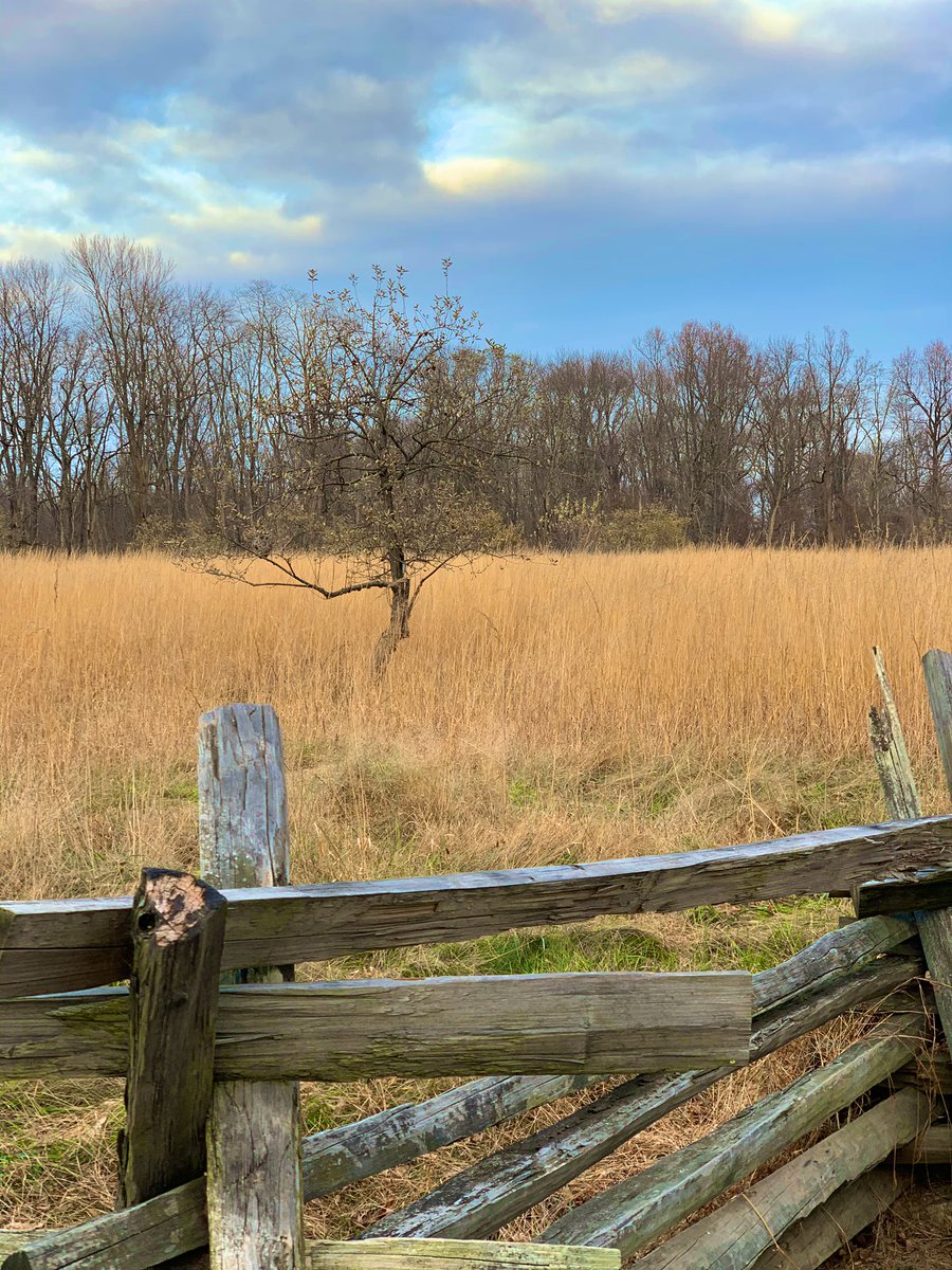 RoadtripC's tweet photo. A #winter #walk is good for the soul. #JockeyHollow park #NewJersey is an Interesting backdrop for #photography. Must have looked amazing in #Fall. #travel #weekendexploration https://t.co/Wx51GR0jB0