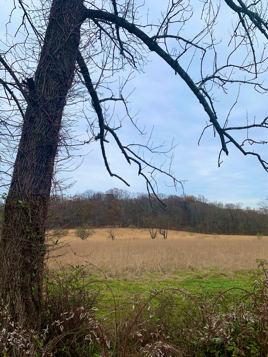 RoadtripC's tweet photo. A #winter #walk is good for the soul. #JockeyHollow park #NewJersey is an Interesting backdrop for #photography. Must have looked amazing in #Fall. #travel #weekendexploration https://t.co/Wx51GR0jB0