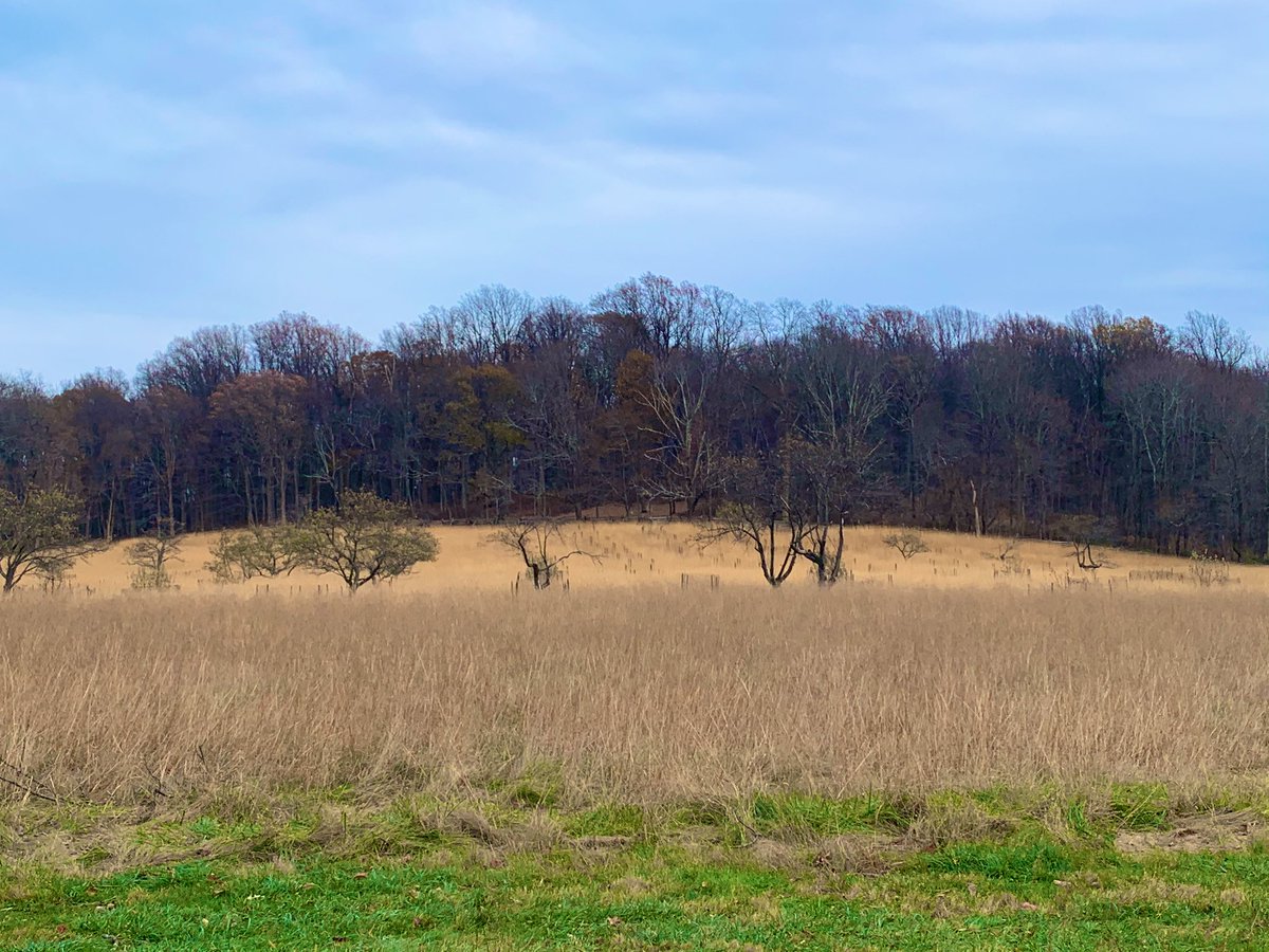 RoadtripC's tweet photo. A #winter #walk is good for the soul. #JockeyHollow park #NewJersey is an Interesting backdrop for #photography. Must have looked amazing in #Fall. #travel #weekendexploration https://t.co/Wx51GR0jB0
