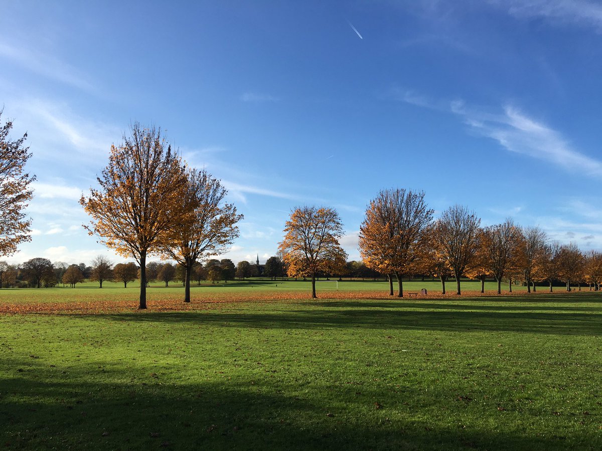 _Mister_Tom_'s tweet photo. Beautiful autumn day for a walk with my hooman! Lots of snuffling to be done! 🐾 https://t.co/rb2lejBugW