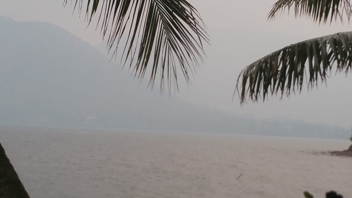 outremers360's tweet photo. Il est lundi matin en #NouvelleCalédonie et une brume épaisse a envahi #Nouméa et l’extrême sud de l’archipel. Elle serait due aux feux de forêts qui ravagent actuellement la côte Est de l’#Australie, entre #Bisbane et #Sydney #Australia #AUSTRALIAFIRES 📸 Facebook https://t.co/REVmVttl2l