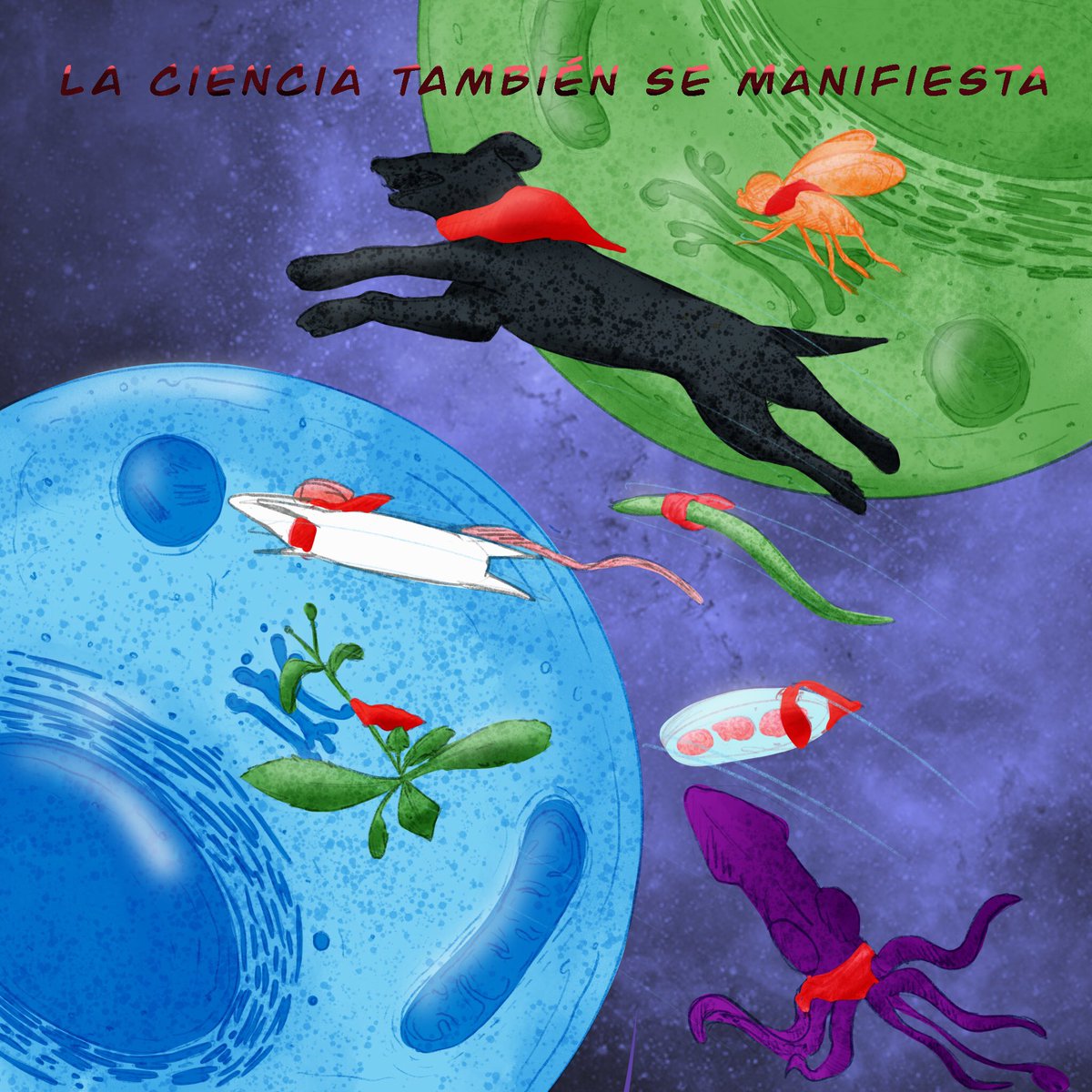 bioilustrador's tweet photo. La ciencia es una de las formas en que se expresa nuestra sociedad también, y por lo tanto una forma de manifestarnos ✊🏽✨ https://t.co/TnhcstMxVx