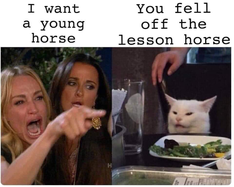 HorselessEQ's tweet image. I’m WEAK