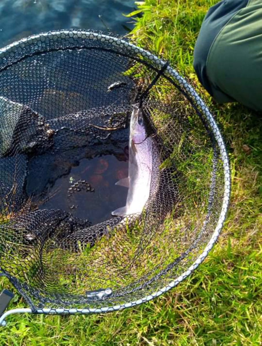 Skelmorlie Fishery 🏴 tweet media