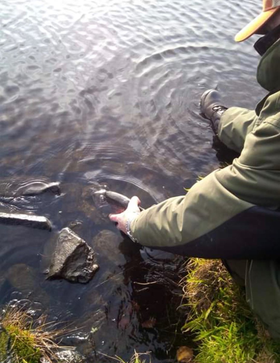 Skelmorlie Fishery 🏴 tweet media