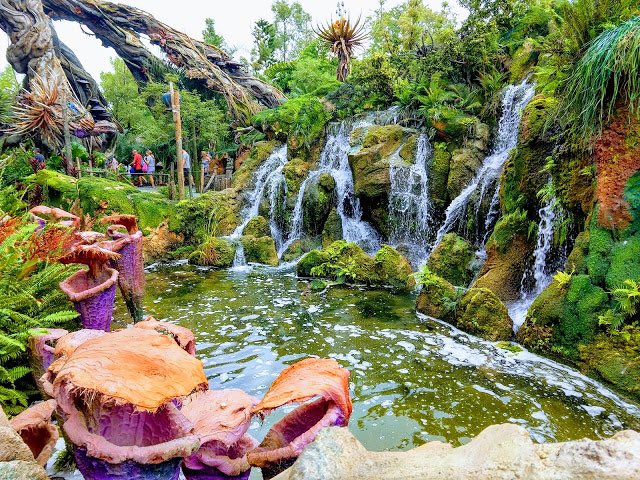 Creation Caravan tweet media