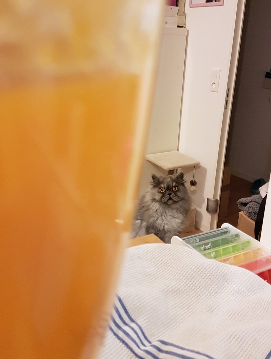 postichon's tweet image. Moman elle a fait le mangeroange ce soir! Avé le mixeurquifautdubruit ! J'ai tipeu eu peur