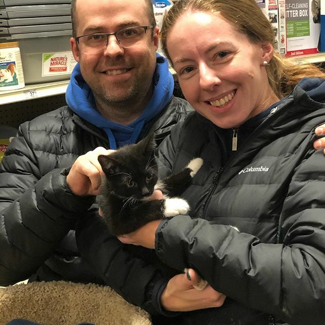 Congratulations on bringing Dusty home! She will make a purrrrrfect addition o your family! Make sure to bring us lots of photos, and keep us updated! 
#lifeatpetsmart #adoptions #home #furbaby #kitten #kittens #spca #stjohns #yyt #petsmart #pet ift.tt/36Q7vkB