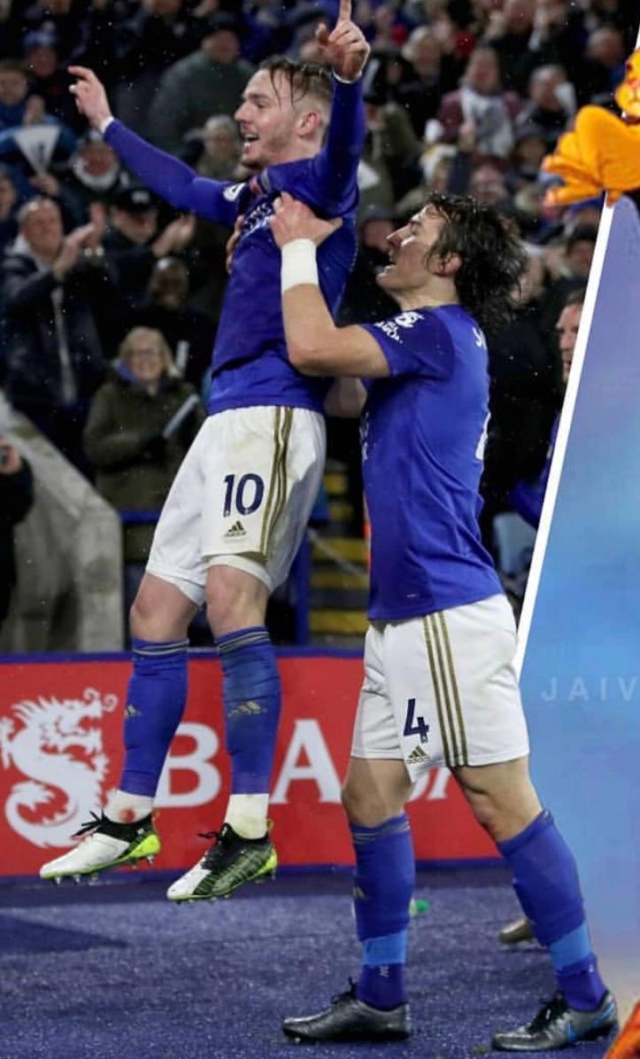 Madders10's tweet photo. Cags making me feel like Simba 🤣 https://t.co/UAt8MEjAg7