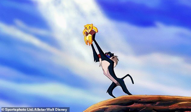 Madders10's tweet photo. Cags making me feel like Simba 🤣 https://t.co/UAt8MEjAg7