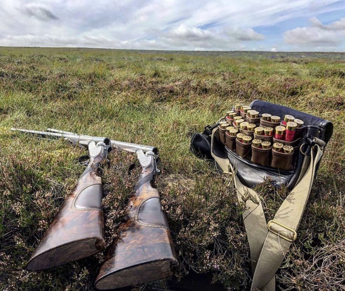 Acornsaddlery's tweet photo. We are lucky to have a group of such brilliant customers and fellow countryside enthusiasts who share such fantastic photos of their days in the field! 📷 
Here's another one by Nathan Little on Instagram. 😍😊

View our Exmoor Fast Loading Bag here: https://t.co/DvnDJ6jsFN https://t.co/4xKG6eTZ5T