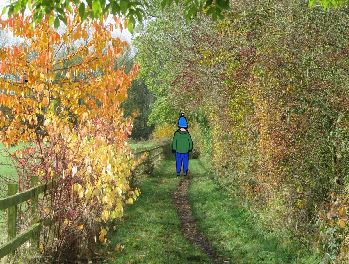 jwilko18's tweet photo. Me enjoying my autumn walk @Procreate #procreatefun https://t.co/FaFoC90muJ