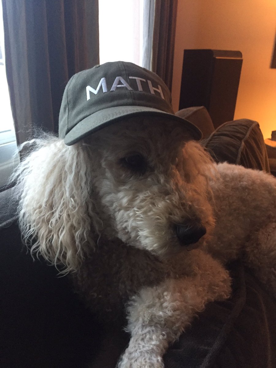 sambakawade's tweet image. #poodles4yang
#YangGang
#MakeAmericaThinkHarder