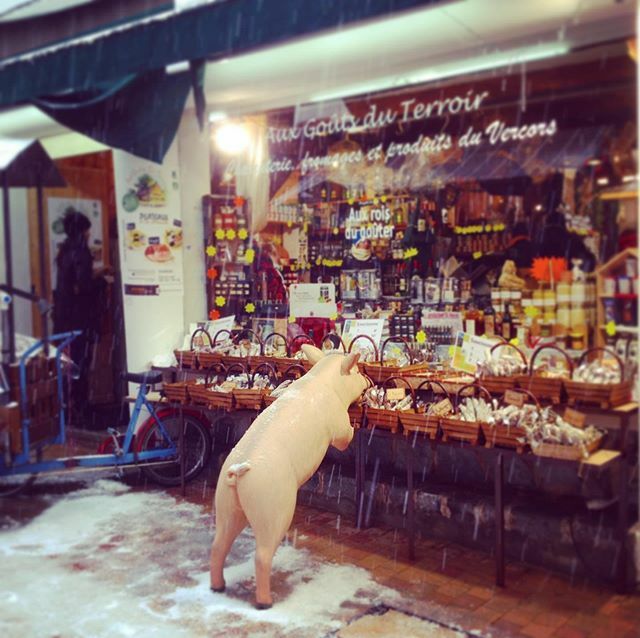 saolin7's tweet photo. J’ai trouvé un petit gourmand de Vercors 🐷 #villarddelans #vercors 
本物かと思って一瞬ビックリ🐖 #フランスアルプス #フランス田舎暮らし #フランス旅行 #cochon #pig #ぶた #ぶたさん #豚 https://t.co/f6gwGOsPTQ https://t.co/hh9JmY7hen