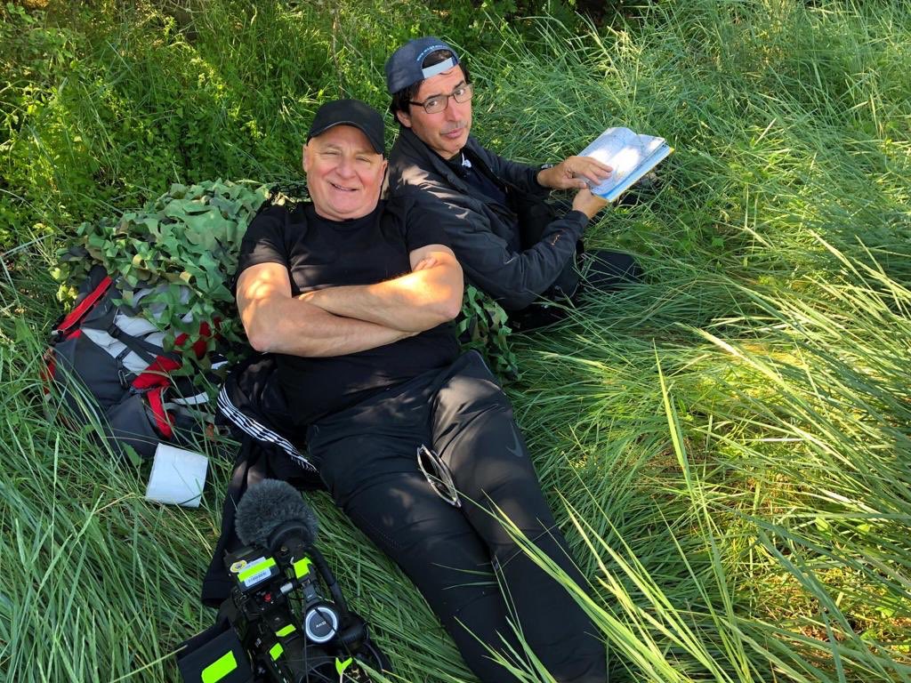 Ampika Pickston tweet media