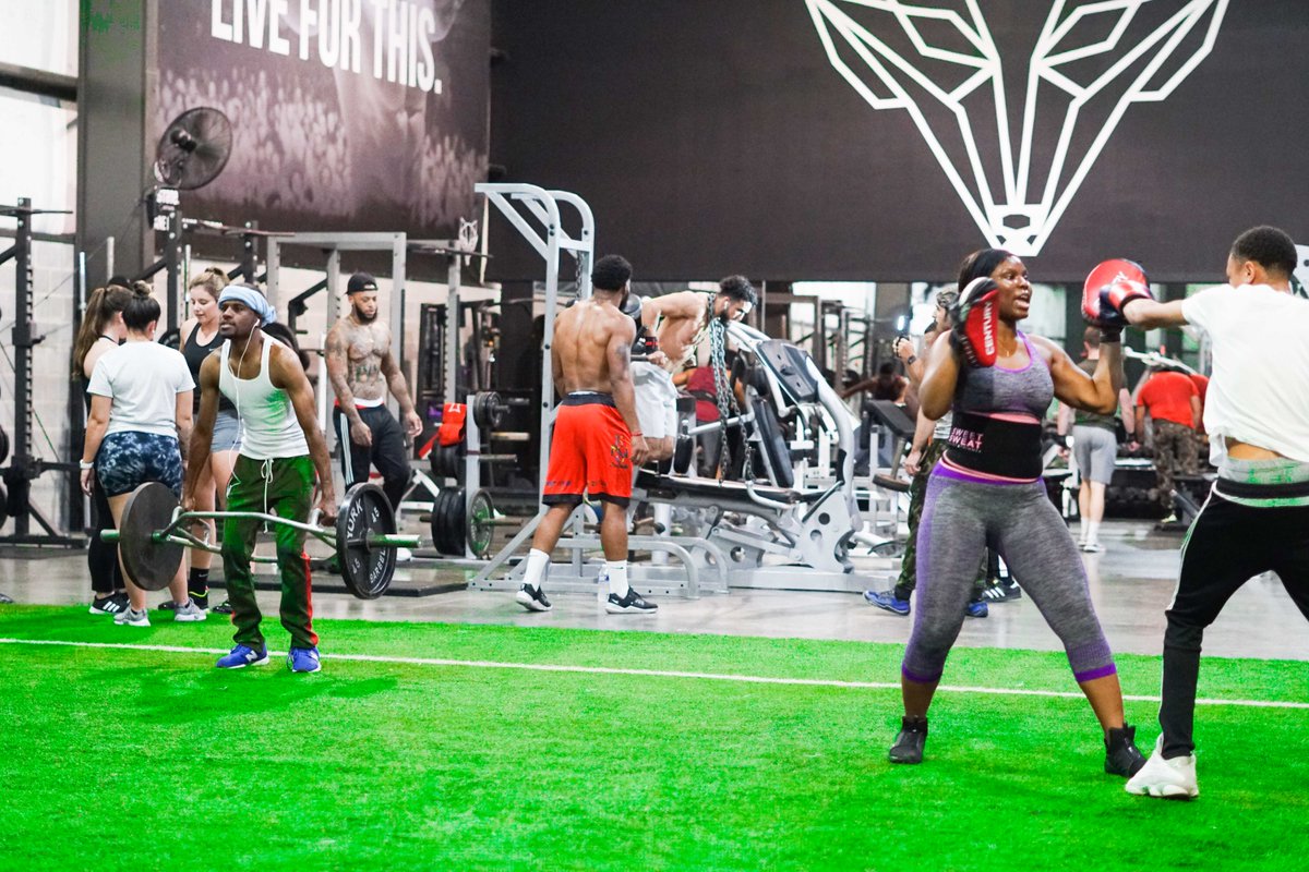 Alpha Training tweet media