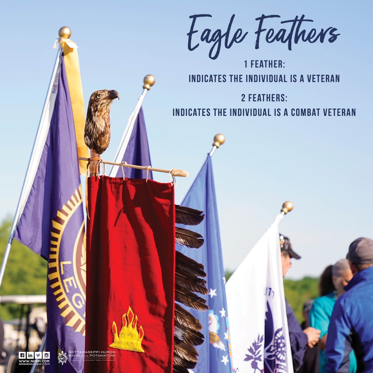 nhbpi's tweet photo. In honor of Veterans Day, NHBP will be sharing facts about Native American Veterans. Eagle Feathers have a rich history among Native American Tribes and it is considered an honor to receive a feather. Each feather has a specific meaning in Native culture. https://t.co/UVKuoFEUNN