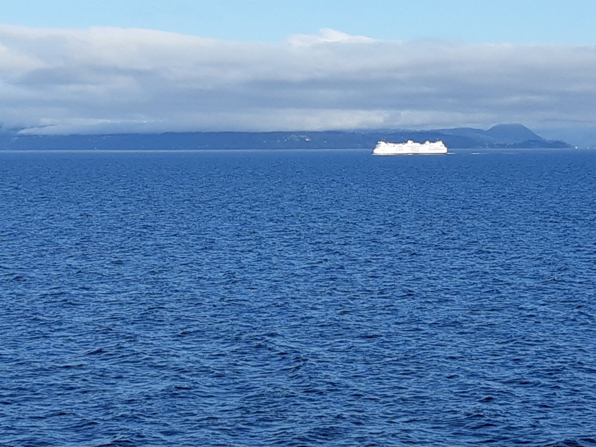 greg devenish tweet media