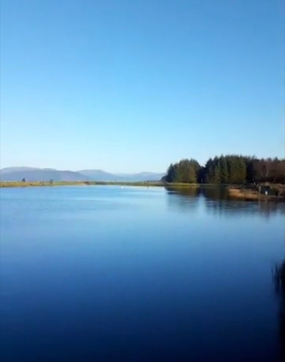 Skelmorlie Fishery 🏴 tweet media