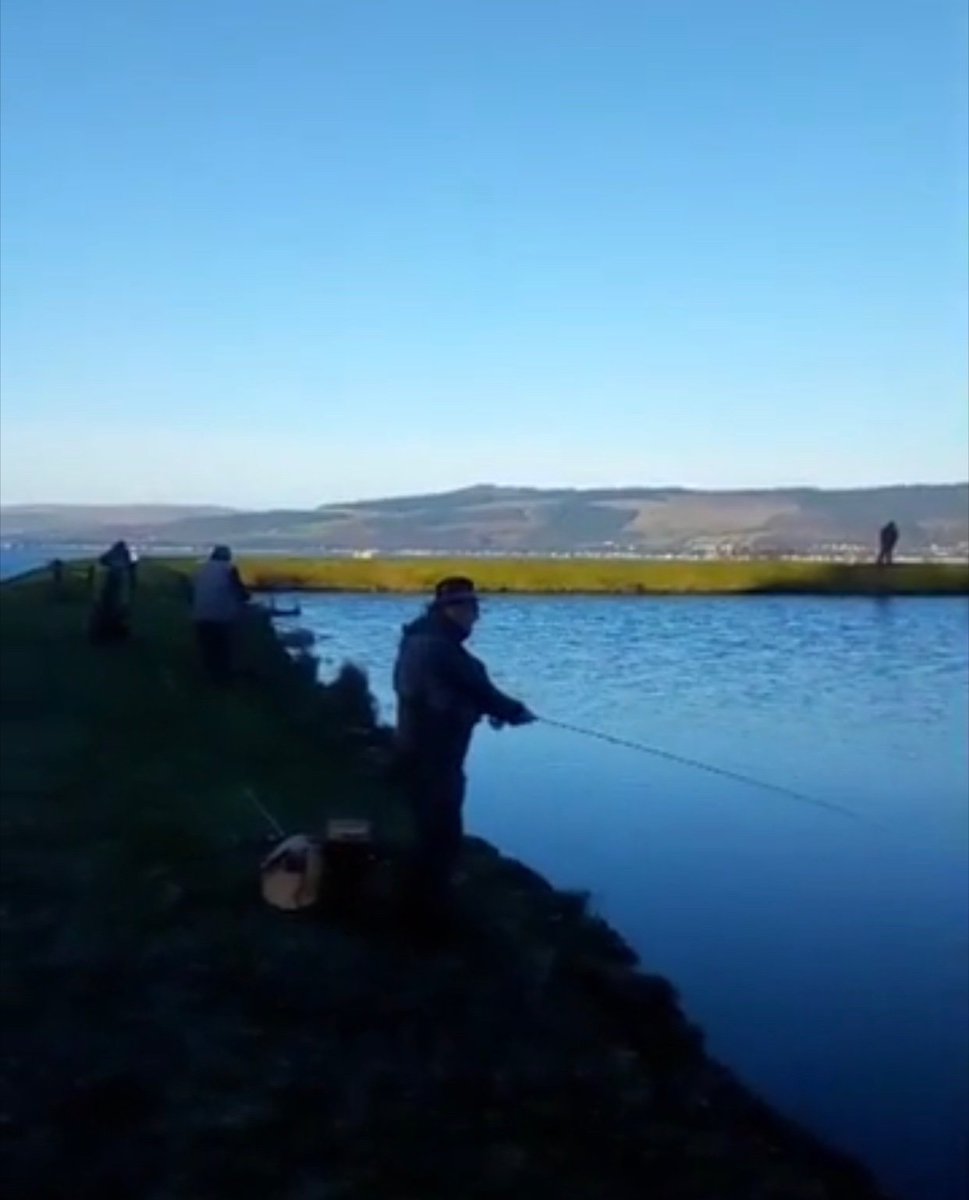 Skelmorlie Fishery 🏴 tweet media