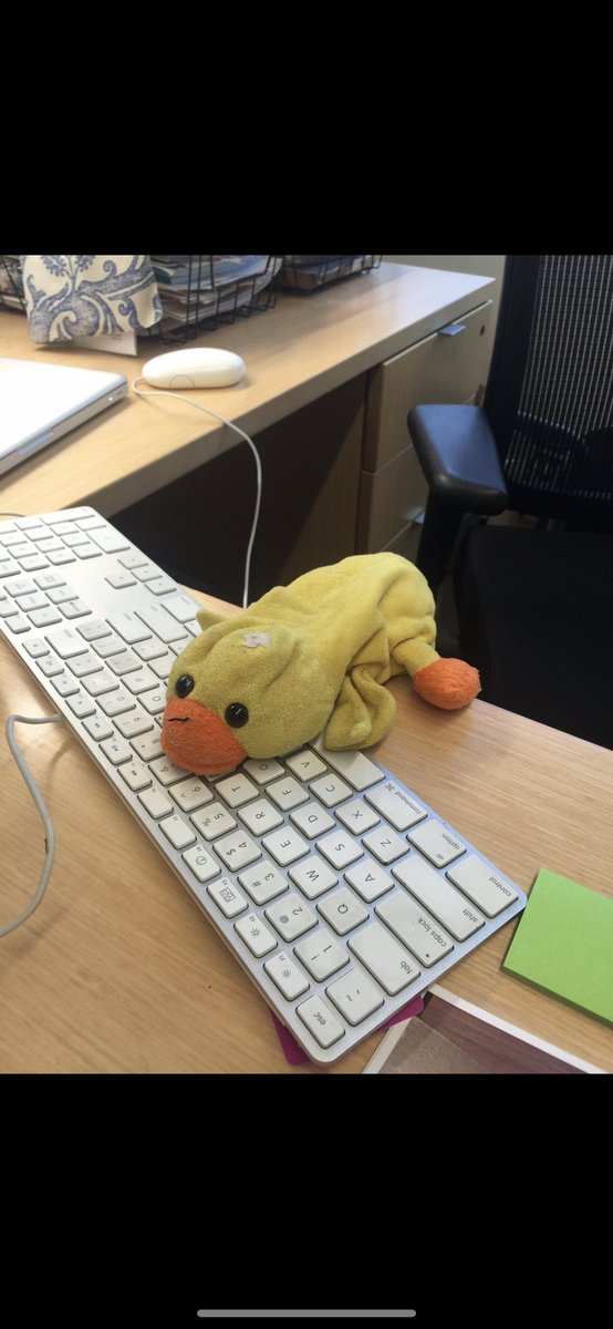 ToriMellott's tweet photo. @Delta please help us find my daughters stuffie! DUCKY! https://t.co/pIjm0b6DF3
