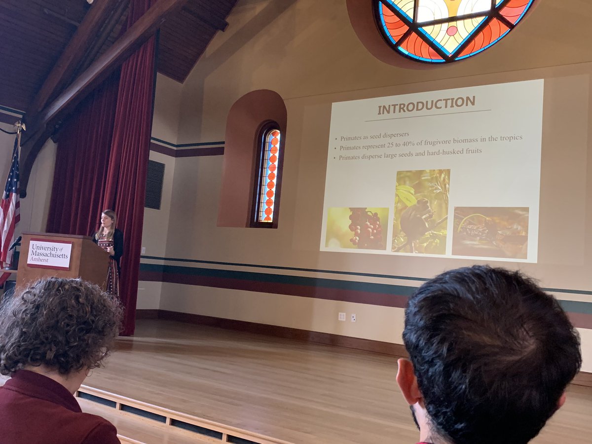 Great to hear my graduate student Andrea Blackburn, @AndreaB928, just back from @gunungpalung National Park, sharing her research on orangutan seed dispersal at #NEEP2019 <a href="/GPOrangutans/">Gunung Palung Orangutan Conservation Program</a> <a href="/BUAnthropology/">BU Anthropology</a>