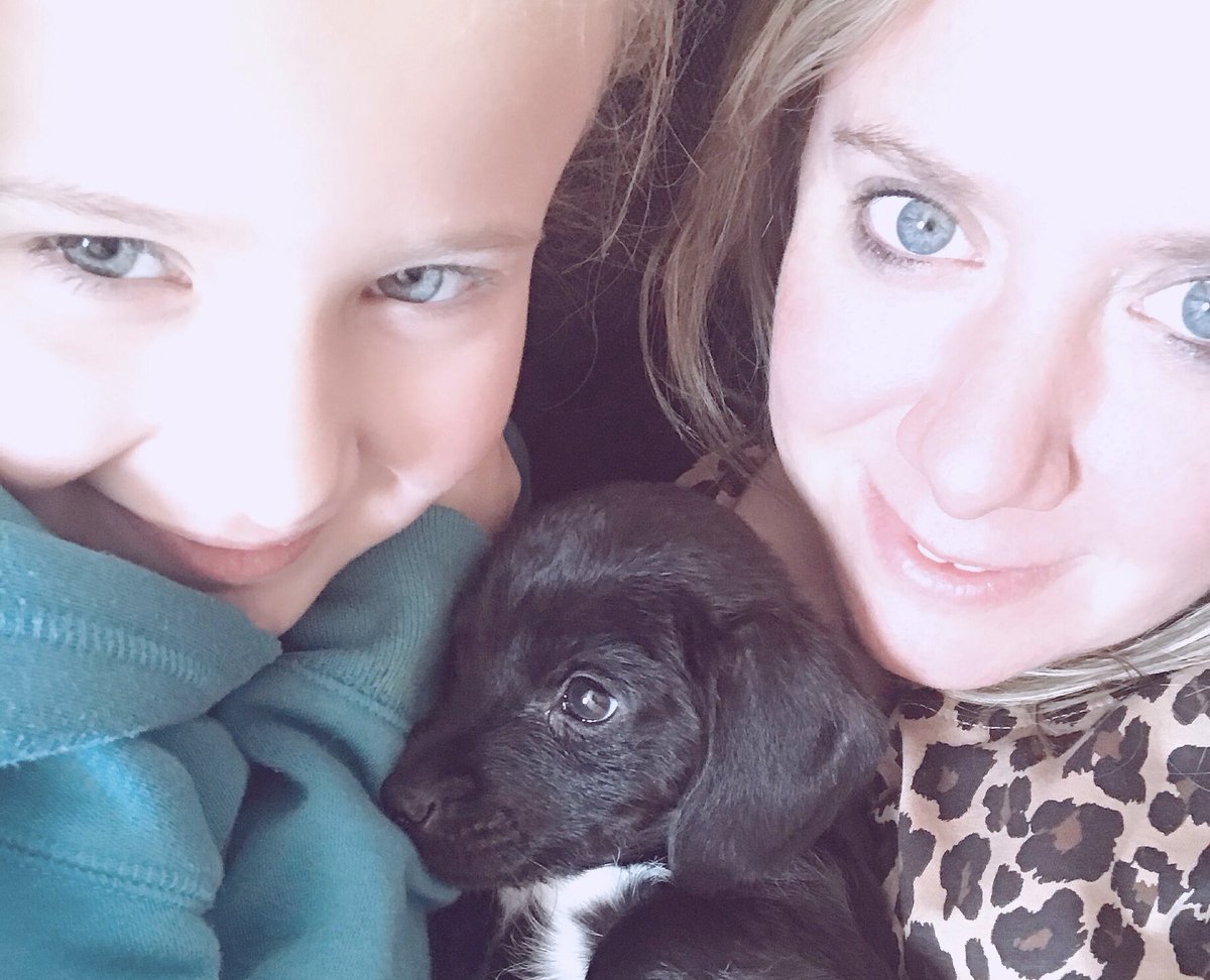 Manthyx's tweet photo. Love these two so much 🥰🐶 https://t.co/vuq0MV8nRA