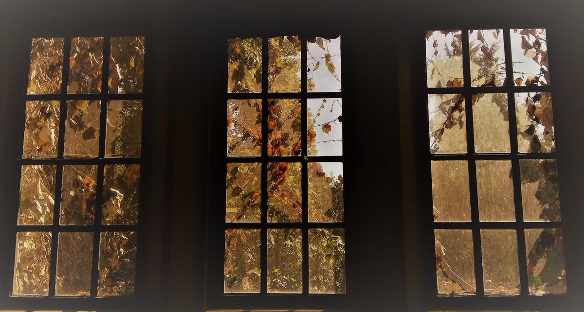 LibHartHouse's tweet photo. Sunny #fall view from the windows of #HartHouseLibrary! Youโre welcome to curl up with a good book right here โ just not this Monday or Tuesday as weโre closed November 11-12 for the Hart House Gala of the Century!
#uoft #uoftlibraries #bookstagram #booknerd https://t.co/YAO1qNG3AG