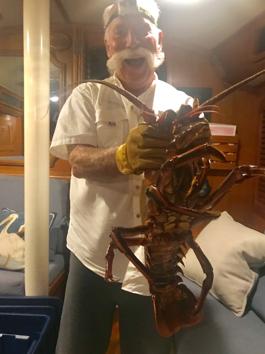 Check our this lobster