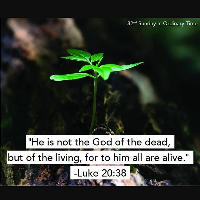 stcatym's tweet photo. We often forget that while death is real, each human soul lives forever. Our God has given us the gift of eternal life! https://t.co/ieEheBtDjN https://t.co/J0dTMJFCnU