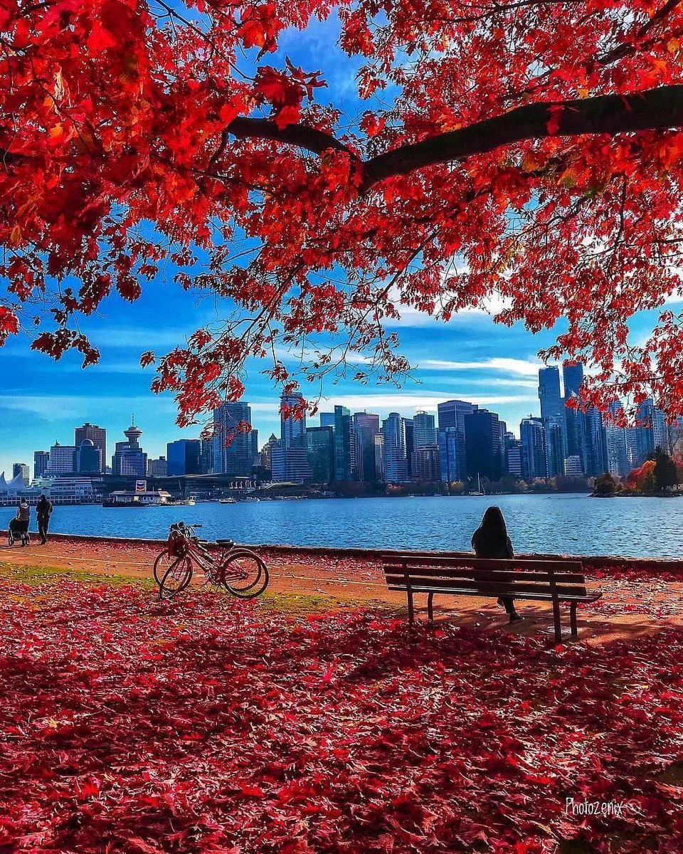 The Seawall, A fav for runners, walkers, rollerbladers &amp; cyclists, loops around the entire circumference of Stanley Park taking you by the 9 O’Clock Gun, Totem Poles, Brockton Point Lighthouse, Lumberman’s Arch, and Girl in Wetsuit! 

📷 @photozenix/IG