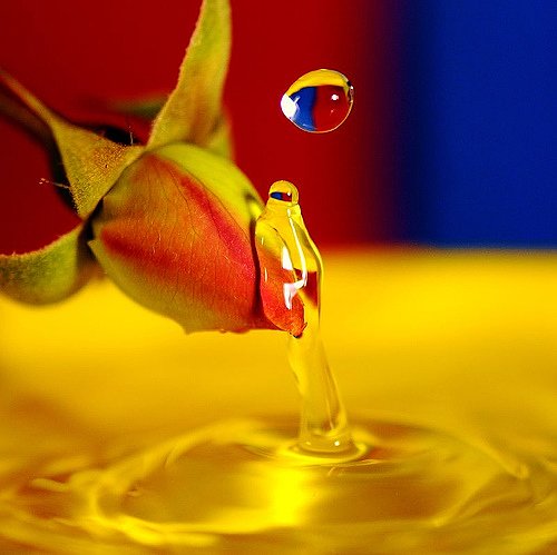 Good Afternoon Twitterverse.
I hope today, if none of your headaches leave, you at least get no new ones.
✨🌸🌻🌷🦋🍄🐞😊😇😊🐞🍄🦋🌷🌻🌸✨