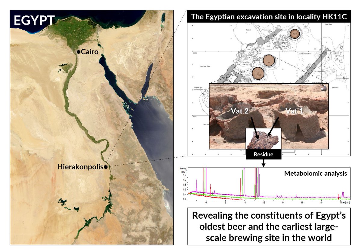 MoamenElmassry's tweet photo. Check my publication in collaboration with a few amazing scientists around the globe on the oldest (~3600 BCE) beer production site in Egypt and currently the world’s oldest installation for large-scale beer production.
https://t.co/mjjk5Hl457
#beer #archeology #metabolomics https://t.co/rfwl25I6Pz