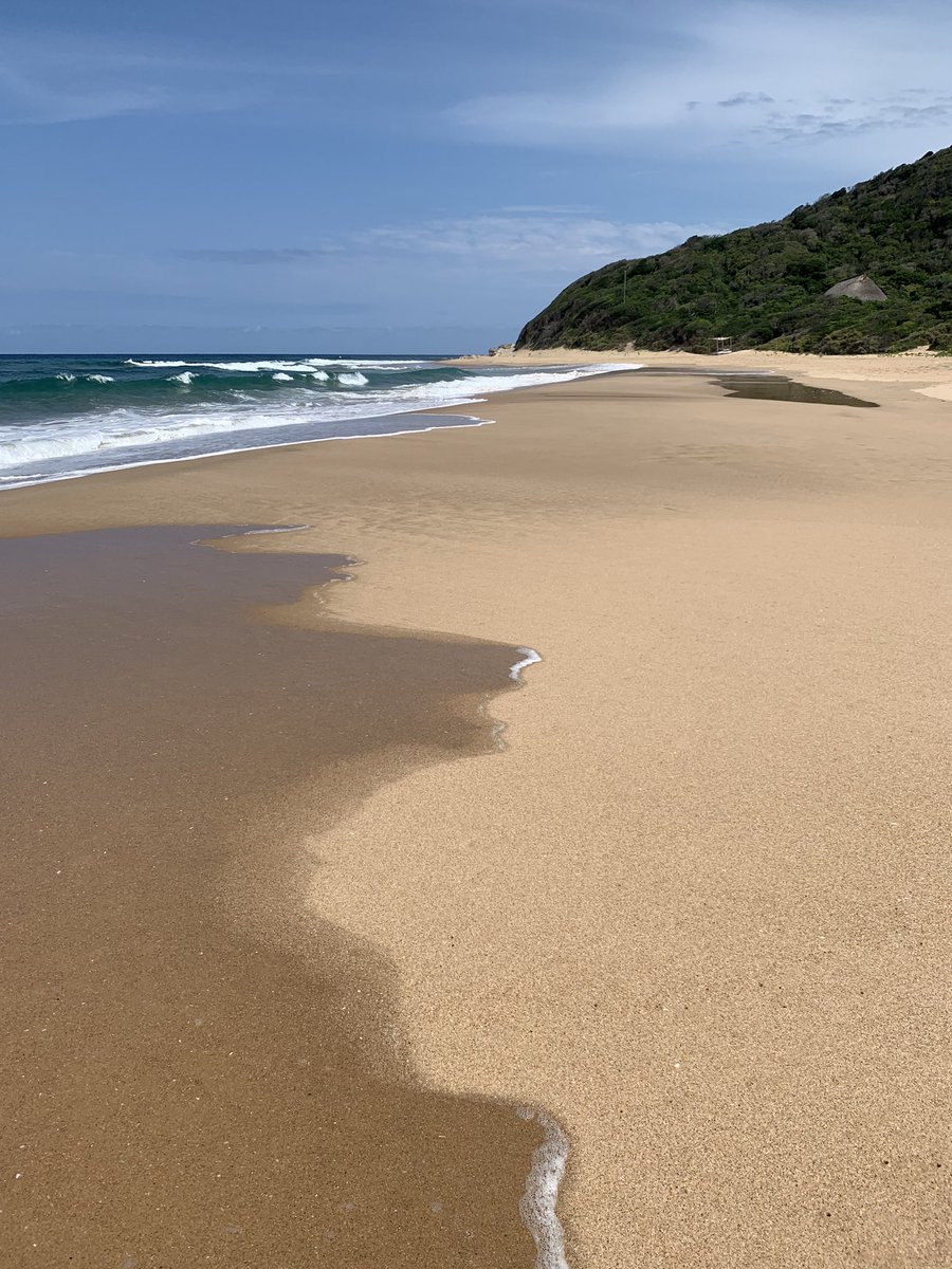 Anvil_Bay's tweet photo. Our beautiful blue ocean lights up as the sky clears for a sunny afternoon 💙
#bluesea #beach #waves #sunseabeach #seashells #leaveonlyfootprints #nature #bliss #anvilbay #funinthesun🌞 https://t.co/SHNypa3kAN