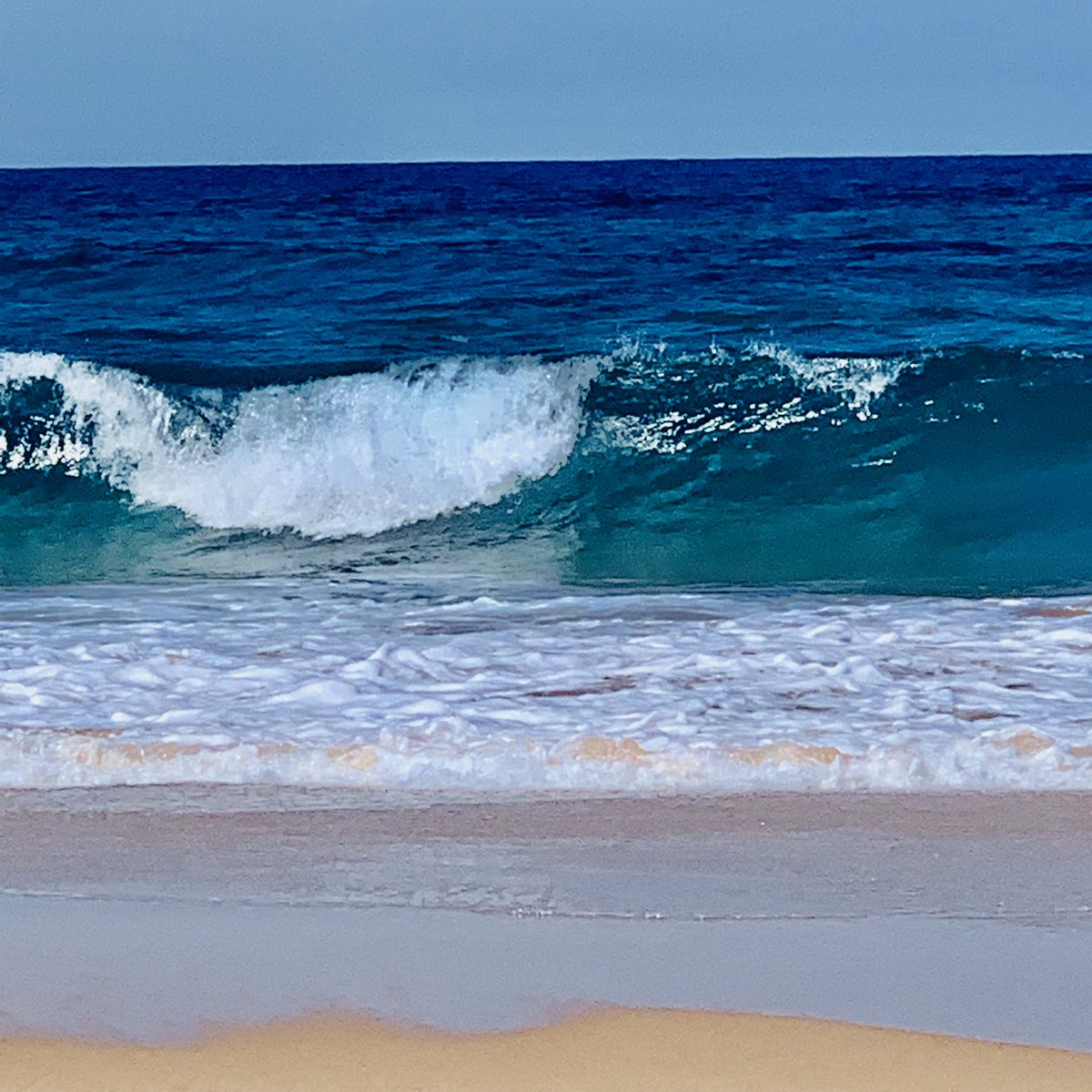 Anvil_Bay's tweet photo. Our beautiful blue ocean lights up as the sky clears for a sunny afternoon 💙
#bluesea #beach #waves #sunseabeach #seashells #leaveonlyfootprints #nature #bliss #anvilbay #funinthesun🌞 https://t.co/SHNypa3kAN