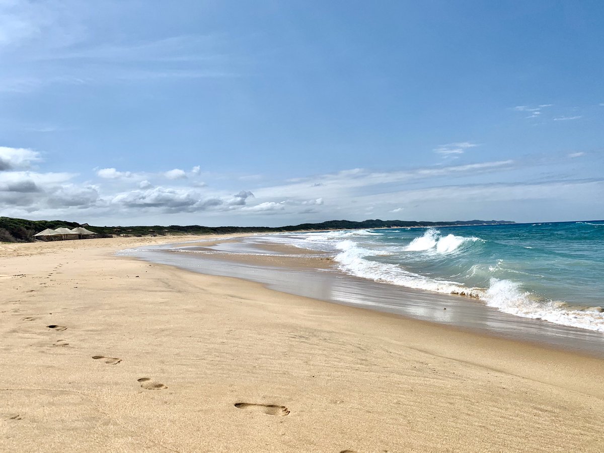 Anvil_Bay's tweet photo. Our beautiful blue ocean lights up as the sky clears for a sunny afternoon 💙
#bluesea #beach #waves #sunseabeach #seashells #leaveonlyfootprints #nature #bliss #anvilbay #funinthesun🌞 https://t.co/SHNypa3kAN