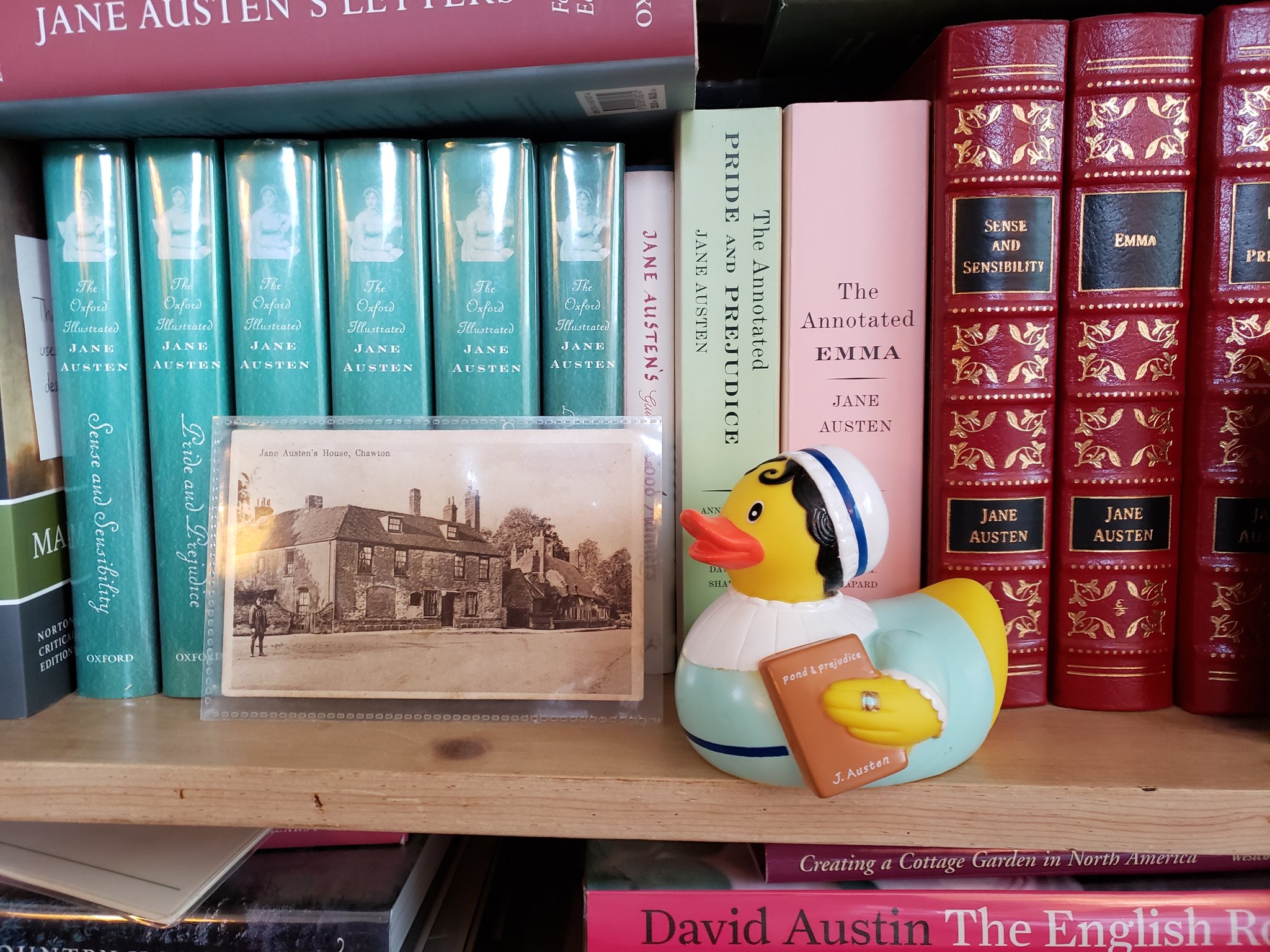 Jane austen rubber duck 2025