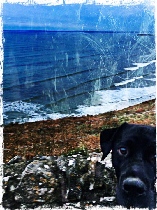 GregBombroffe's tweet photo. A proper Sunday view #photobombingdog https://t.co/eXOss2FjOS