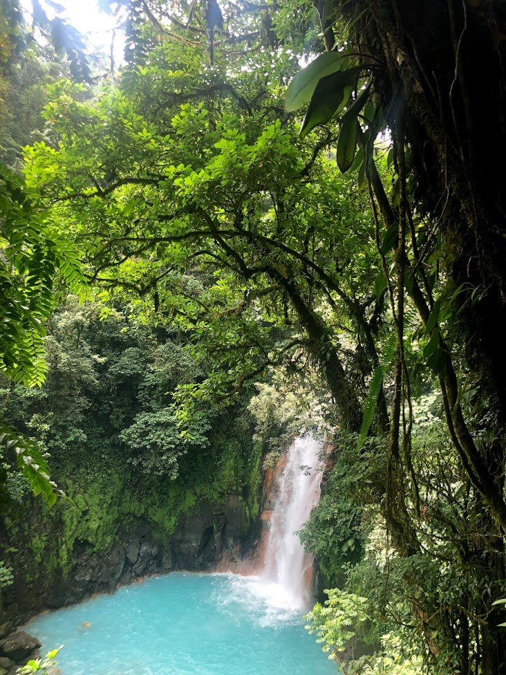 tabarpamela's tweet photo. Some of my hobbies include traveling. I do enjoy going to new places to sight see and experience different things and it brings me so much peace and clarity being able to take different vacations. Below are pictures I took in Costa Rica &amp; Puerto Rico this year. #TXC19 #DCIM353B https://t.co/ISAXONEAHK