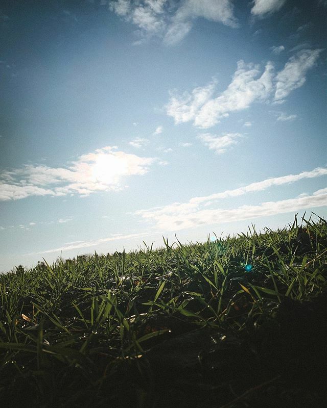 billyberg's tweet photo. It's that time of year where the man-flue is taking over me. Been sick for a week and it still going. Need this to be over 🥴
ᴅᴀʏ 576 ᴏғ #createsomethingtodayevenifitsucks
-
-
-
-
-
-
#nature #naturephotography #naturelovers #NatureLover #natureza #Naturegram #natureporn … https://t.co/brEHAD7Gz1