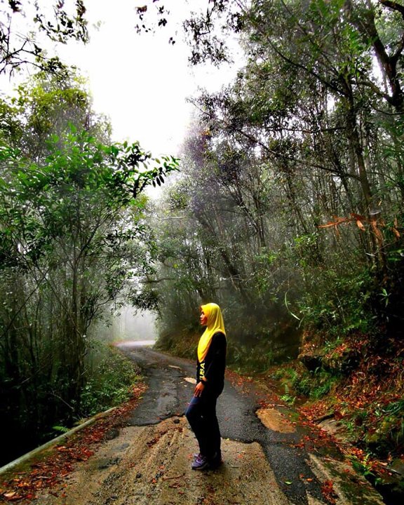 tempat_best's tweet photo. Selamat pagi Gunung Jerai!
Terletak di Daerah Yan, gunung ini menjadi mercu tanda semulajadi terhebat di negeri #Kedah
Aktiviti paranormal pun menarik untuk diteroka di sini..
Kredit Nur Jani Zuriayati
#TempatBest https://t.co/JwuFujnSRM