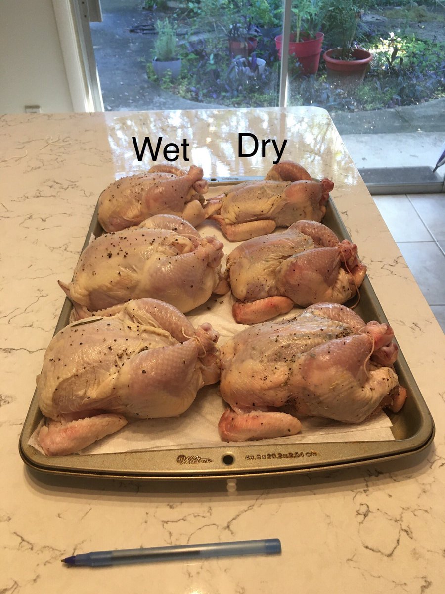TheMatSebastian's tweet photo. Experiments can happen at home too!(don’t let my PI know..haha) Our Pre-thanksgiving experiment testing wet vs. dry brining using three cooking methods on Cornish game hens. As always, best way to plan an experiment is with a plate map #food #Foodie #whoisntafoodie #Thanksgiving https://t.co/VlIN5XGBjV