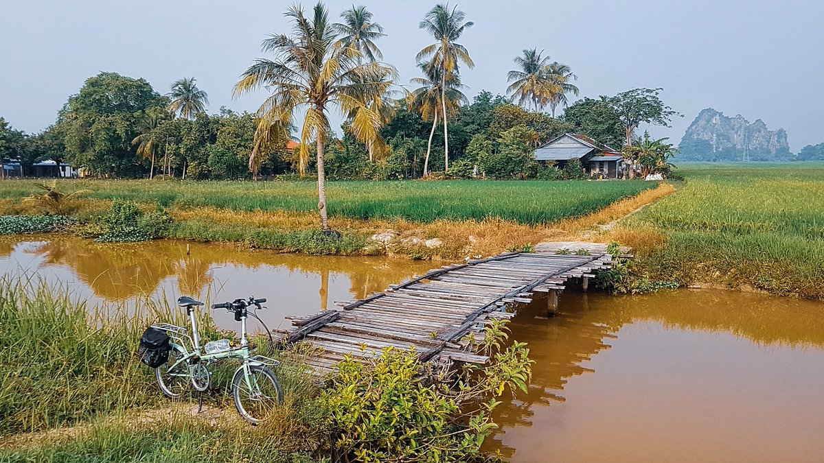 tempat_best's tweet photo. Berbasikal di #Kedah memang menarik tapi ni macam kat Kodiang la!

Kredit northern_8eat
#TempatBest https://t.co/XhKUFev20w
