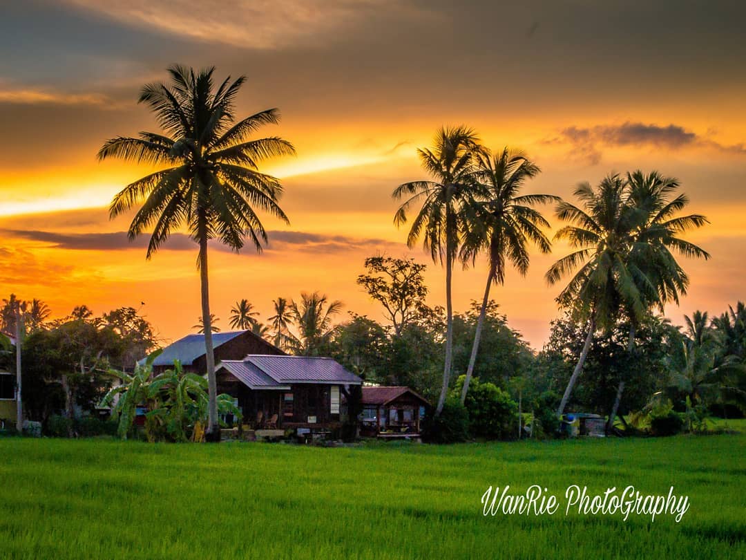 tempat_best's tweet photo. #TempatBest untuk #Makan dan #Main ialah di kampung!

Tapi kalau kampung macam kat Kuala Muda #Kedah ni pun best jugak kan?

Kredit mohamadsubribinmohdnoor https://t.co/514Tk9mXHW