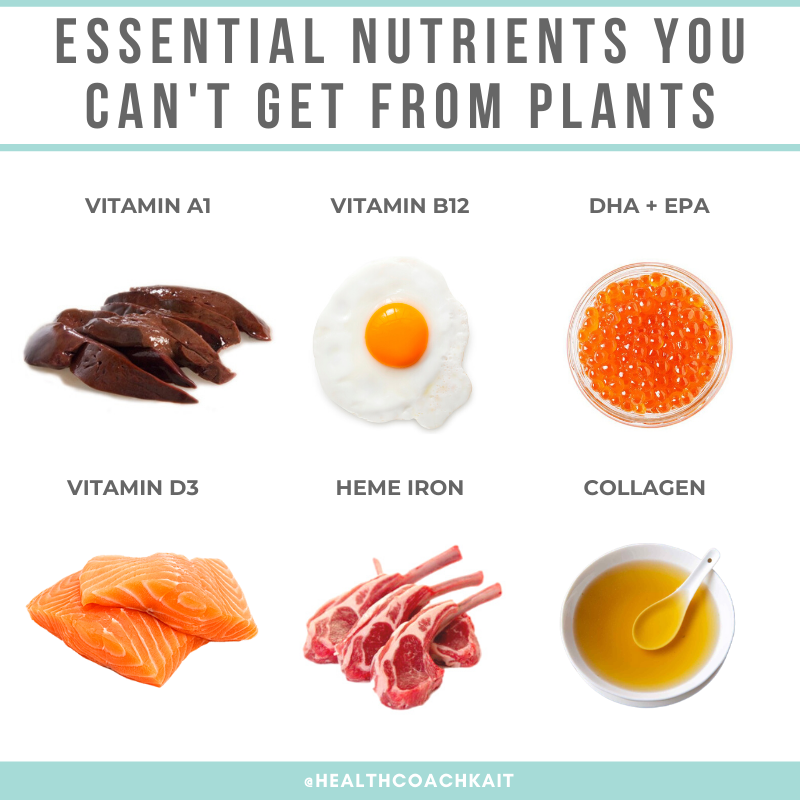 healthcoachkait's tweet photo. Think a vegan diet is optimal? Think again! Here are a few nutrients you CAN'T GET from plants! π€―β https://t.co/RnzVHNZ6Dh