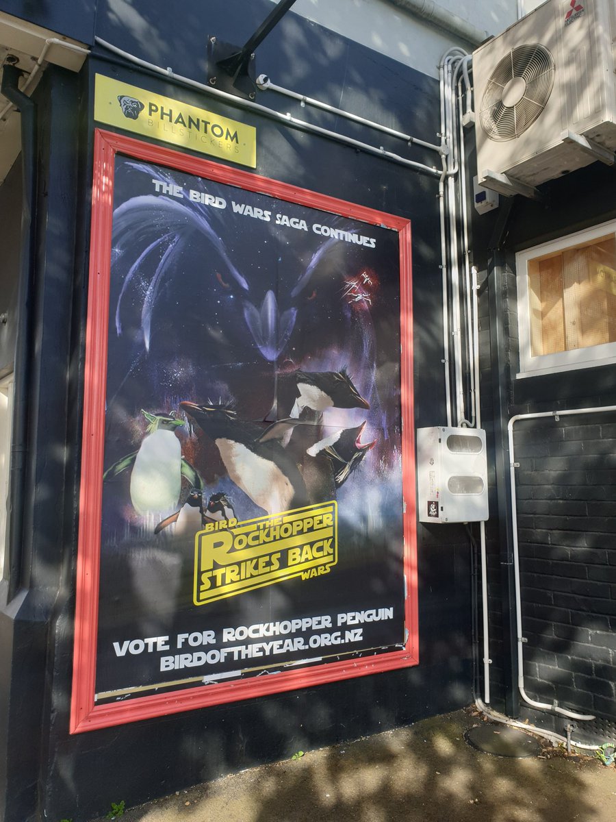 thisNZlife tweet media