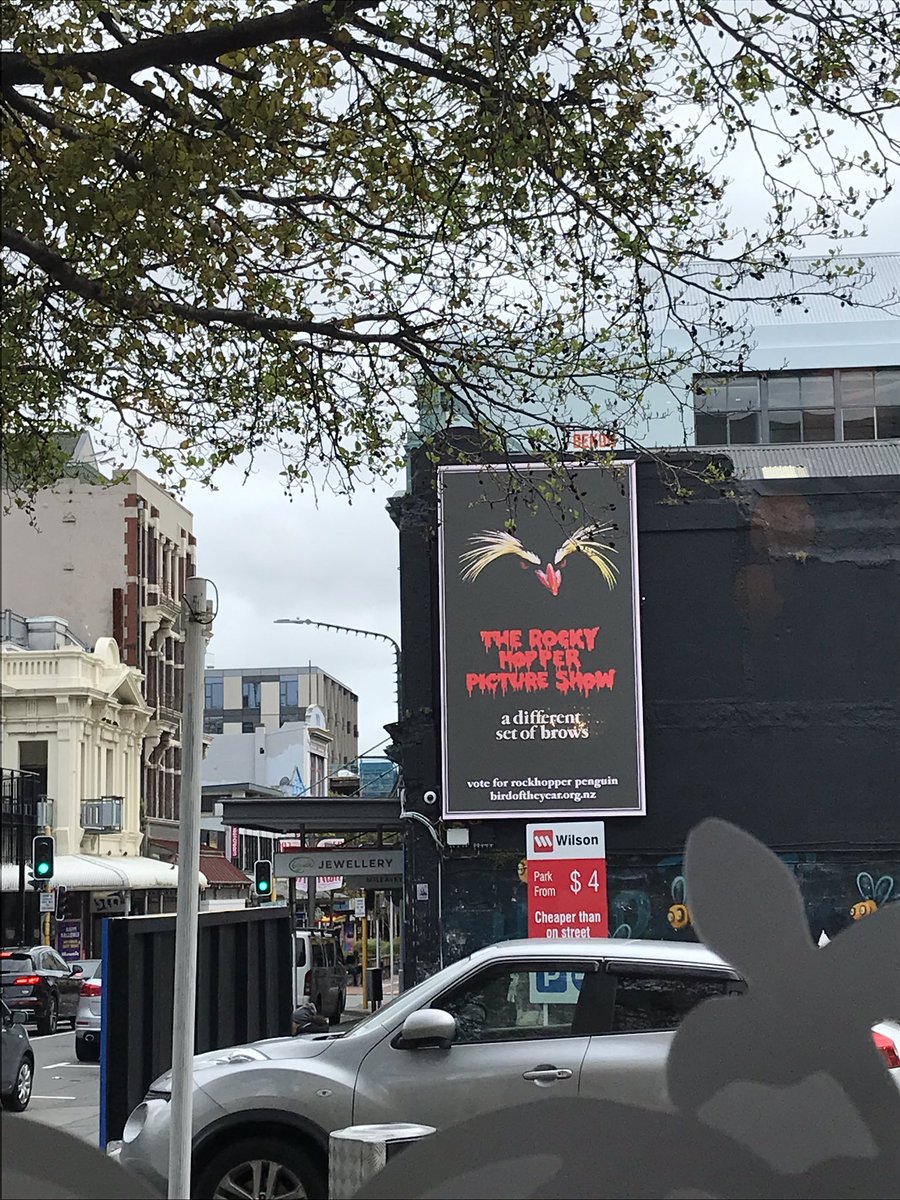 thisNZlife tweet media