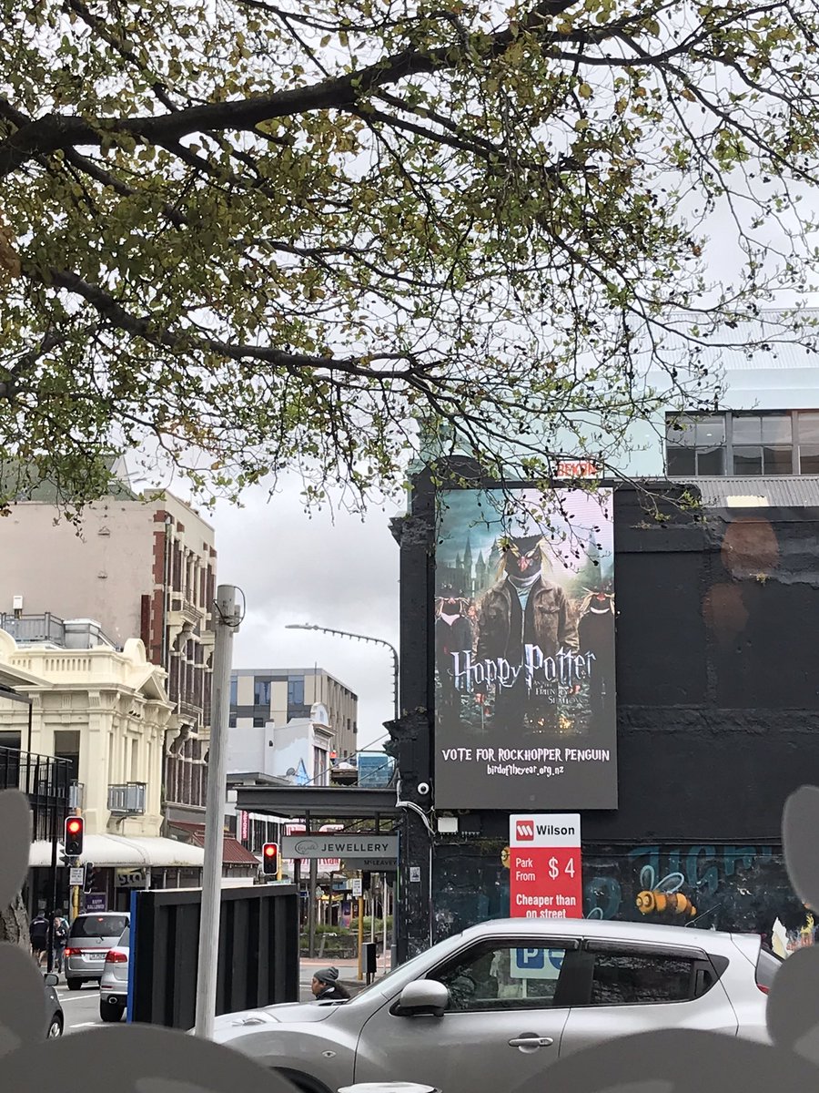 thisNZlife tweet media