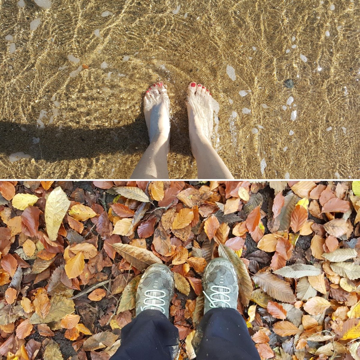 YoliLondon's tweet image. ☀️ Last Tuesday and today 🍁 #HappyFeet #NovemberContrasts #BarcelonaBeach #AutumnLeaves #KentCountryside #Hever #SundayWalks